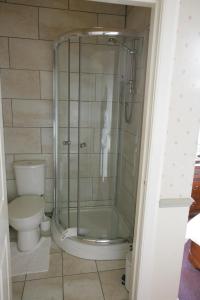 凯尔索贝尔维尤旅馆的带淋浴和卫生间的浴室