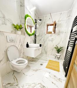 比斯特里察Magnolia Stay的一间带卫生间、水槽和镜子的浴室