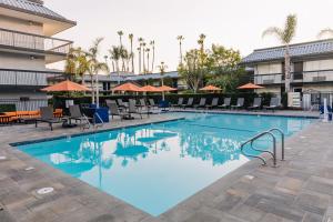 千橡市棕榈树花园酒店的游泳池,带椅子和遮阳伞