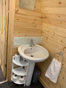 德拉姆纳德罗希特Loch Ness Woodland Pods的木墙内带水槽的浴室