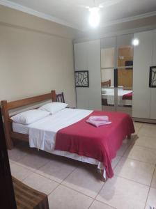 皮雷诺波利斯Pousada Bontempo的一间卧室配有一张床铺,床上铺有红色毯子
