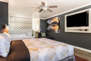 大熊湖Big Bear Spa Suites的一间卧室配有一张床和一台平面电视