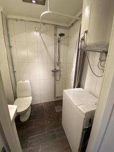 SöråkerVilla Gasabäck的一间带卫生间和水槽的小浴室