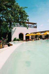 杰里科科拉Café Jeri Hotel的度假村的游泳池,带遮阳伞