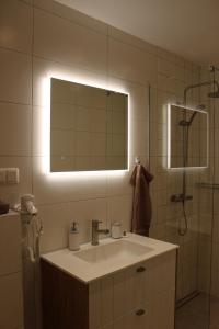 塔尔图Aleksi Apartments的一间带水槽、镜子和淋浴的浴室