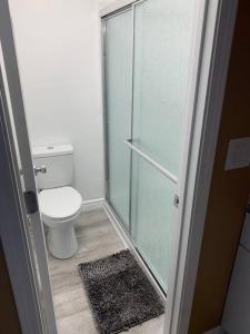 布尔海德市Couples getaway的一间带卫生间和玻璃淋浴间的浴室
