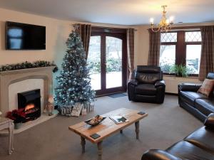 安南Trebor Cottage的客厅配有圣诞树和壁炉