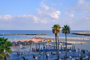 特拉维夫Beautiful 2-bedroom condo in the heart of Tel Aviv的一片种满人和棕榈树的海滩和大海