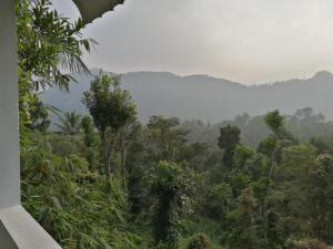 苏丹巴特利Tapovan Farm House的天空树木林景