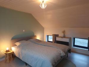 赫拉尔兹贝亨Huisje op de Muur van Geraardsbergen的一间卧室设有一张床和两个窗户。