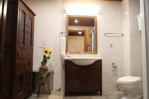 洛弗阿古维诺洛弗酒店的一间带水槽、卫生间和镜子的浴室
