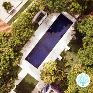 帕里普埃拉Villa Ostello Pousada的享有树木庭院游泳池的顶部景色