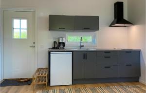 GnisvärdBeautiful Home In Gotlands Tofta With Kitchen的厨房配有白色冰箱和水槽