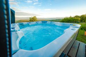 ŠkocjanVilla Zupan with Hot Tub的庭院里一个蓝色水的大型小型游泳池