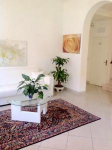 里米尼奥费莉亚卡尔公寓式酒店的带沙发和咖啡桌的客厅