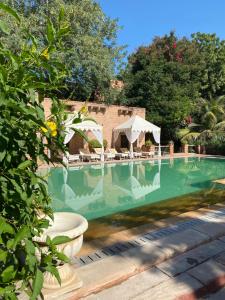 焦特布尔德威巴万 - 传统酒店的庭院内带凉亭的游泳池