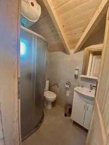 科拉欣Wooden Corner的一间带卫生间和水槽的浴室