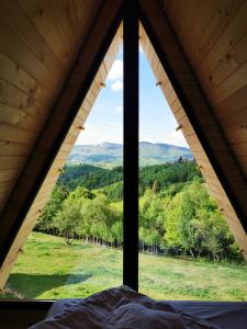布拉索夫CABANA 365的享有田野景致的小屋窗户