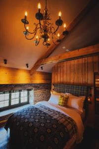 卡迪根Albion Aberteifi的一间卧室配有一张带吊灯的大床