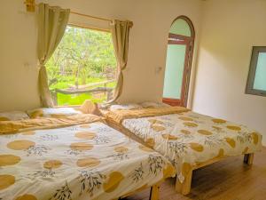 木州县Plum Hill - Moc Chau的带窗户的客房内的两张床