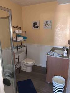 布尔海德市River getaway Downstairs unit的一间带卫生间和水槽的浴室
