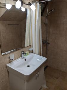 迪利然Forest的浴室配有白色水槽和淋浴。