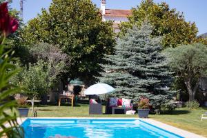 帕德隆Luxury Singular Villa Rosa的一座带圣诞树的庭院内的游泳池