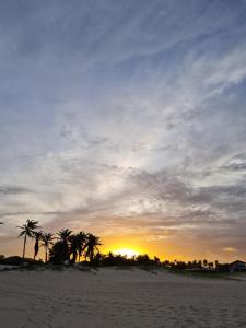 福塔莱萨Apartamento na Praia de Iracema, Meireles.的棕榈树沙滩上的日落