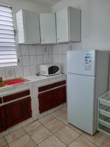 卡佩斯特雷贝勒奥F3 paisible的厨房配有白色冰箱和微波炉