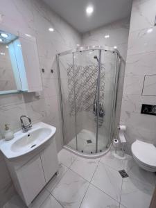 索非亚Paris luxury top centre Apt with office space的带淋浴、盥洗盆和卫生间的浴室