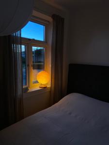 赫加奈斯The Photographer's House in Höganäs的一间卧室配有一张床和一扇带灯的窗户