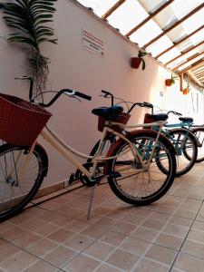 圣塞巴斯蒂安Pousada Estrela Mare的两辆自行车停在墙上