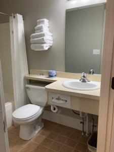 新荷兰Country Squire Inn and Suites的一间带卫生间、水槽和镜子的浴室