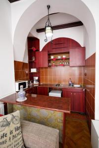 布拉索夫Pensiunea Noemi的厨房配有红色橱柜和木制台面