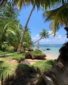 小玉米岛ENSUEÑOS Natural Reserve Big House的棕榈树海滩和海洋