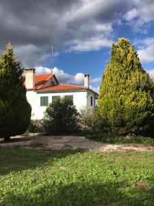 FolgosinhoQuinta da Barbosa的前面有两棵树的白色房子
