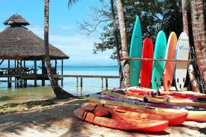 博卡斯德尔托罗Casa Cayuco Eco-Adventure Lodge的海滩上排成一排冲浪板