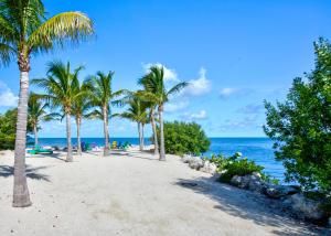 马拉松Aqua Lodges at Coconut Cay Rv and Marina的棕榈树和海洋的沙滩