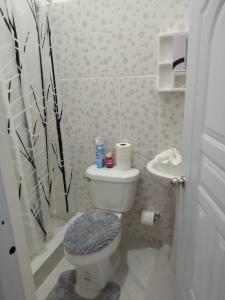 苏莎亚Sosua Apartment 4-Bedrooms的一间带卫生间和水槽的小浴室