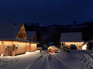 什切尔克Cicha Polana的雪中的一个小木屋