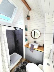 Apple ValleyRomantic Tiny home with private deck的带浴缸、卫生间和盥洗盆的浴室