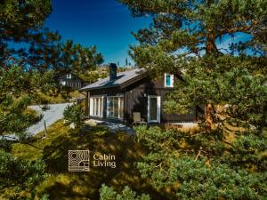 海姆瑟达尔Great cabin in Hemsedal wifi golf ski eldorado的树木房屋的空中景致