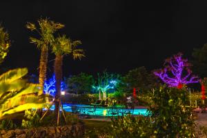 济州市Hallim Resort的夜间游泳池,有灯光和树木
