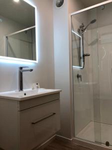 阿瑟山口The Bealey Hotel的浴室配有盥洗盆和带镜子的淋浴