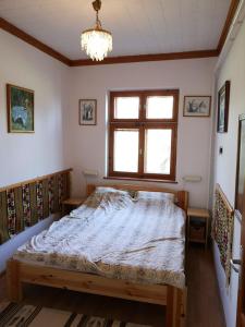 霍德梅泽瓦沙海伊Tóbiás Tanya Vendégház的一间带床的卧室,位于带窗户的房间内