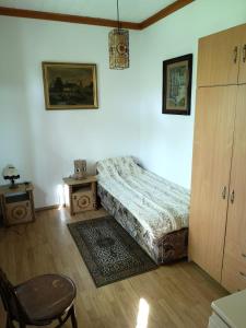 霍德梅泽瓦沙海伊Tóbiás Tanya Vendégház的卧室配有1张床、1张桌子和1把椅子