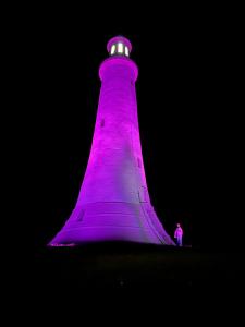 阿尔弗斯顿Log home village的一座紫色灯塔,前面有一个人