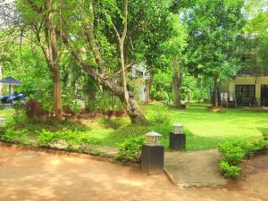 锡吉里亚花卉园生态村酒店的一座有树木的院子,一座有两盏灯的房子