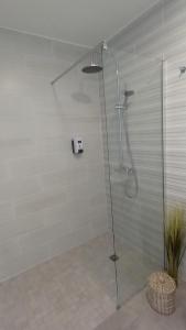 萨拉济Appartement au cœur du village d'HellBourg的浴室里设有玻璃门淋浴