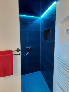 ElsterheideAltes Gewölbe mit Sauna und Whirlpool im Außenbereich的蓝色的浴室设有淋浴和红色毛巾